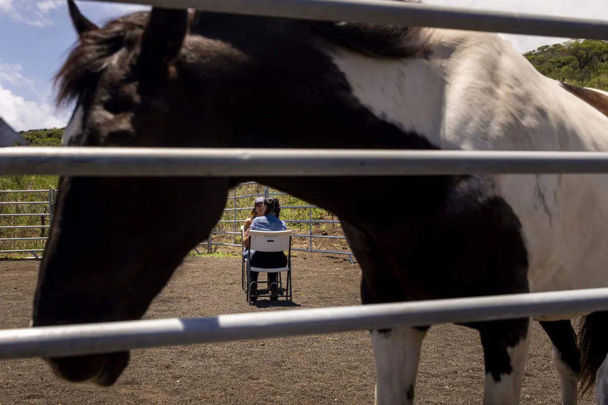 Philanthropy Hawaii Wildfire Equine Therapy