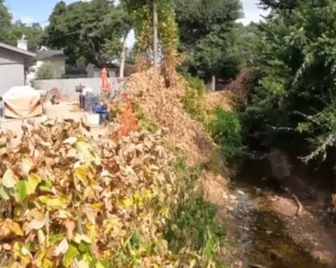 Woman watches backyard disappear after city says erosion is her problem