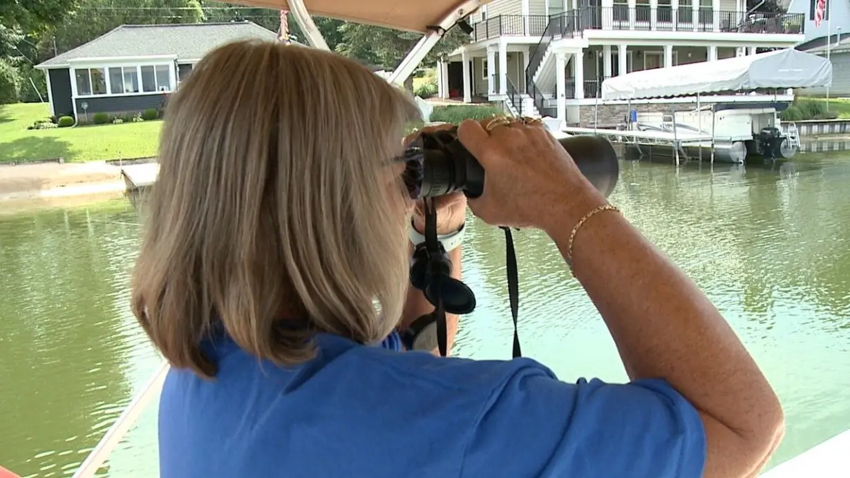 'There it is!': Alligator sightings in Ottawa County's Crockery Lake continue