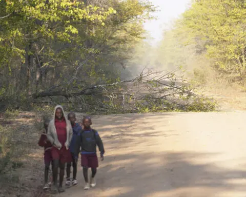 In Zimbabwe, schoolchildren face threats from animals. Now they are learning how to spot the dangers