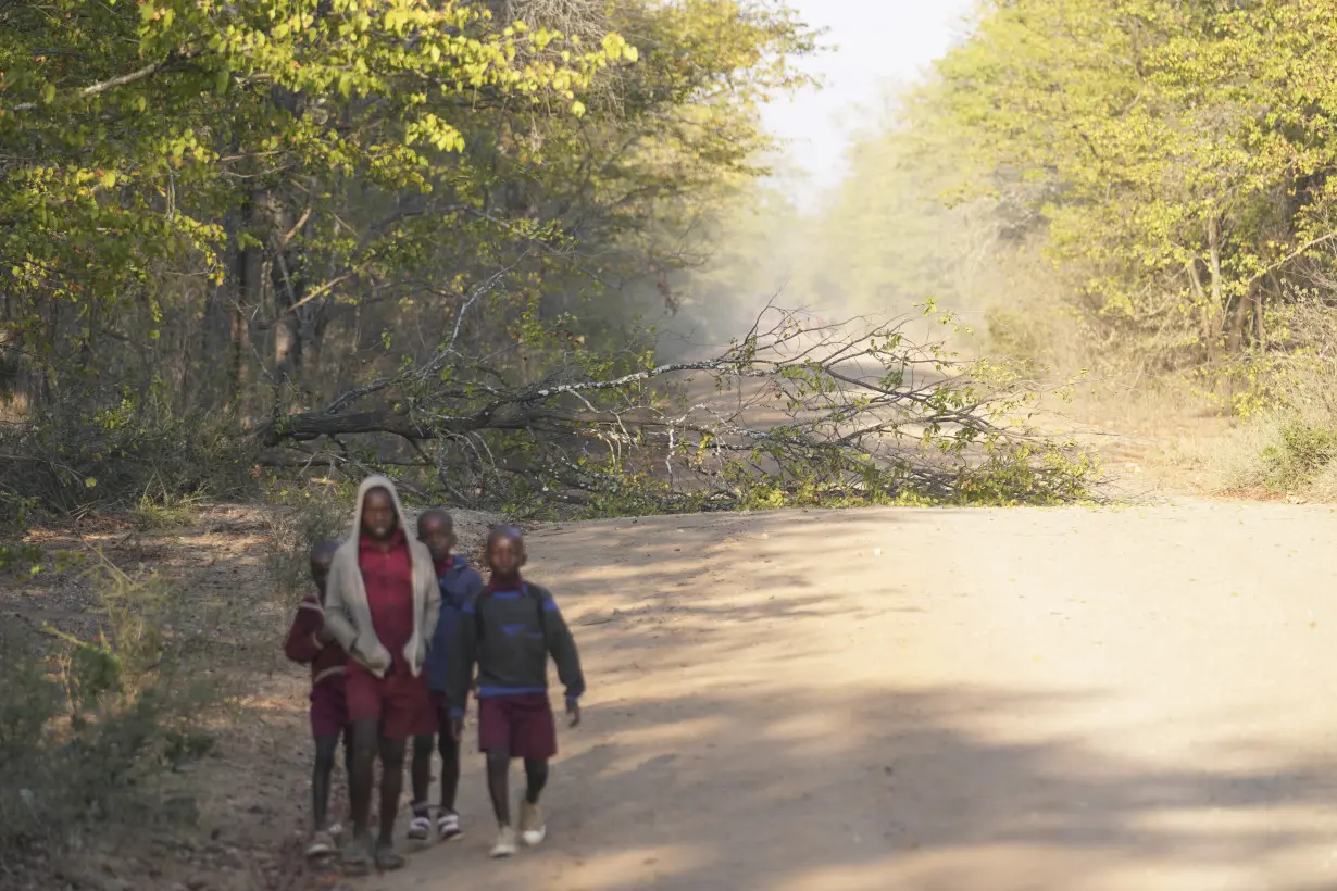 APTOPIX Zimbabwe Wildlife Children