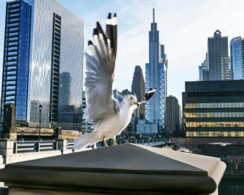This anthropology course looks at building design from the standpoint of different species