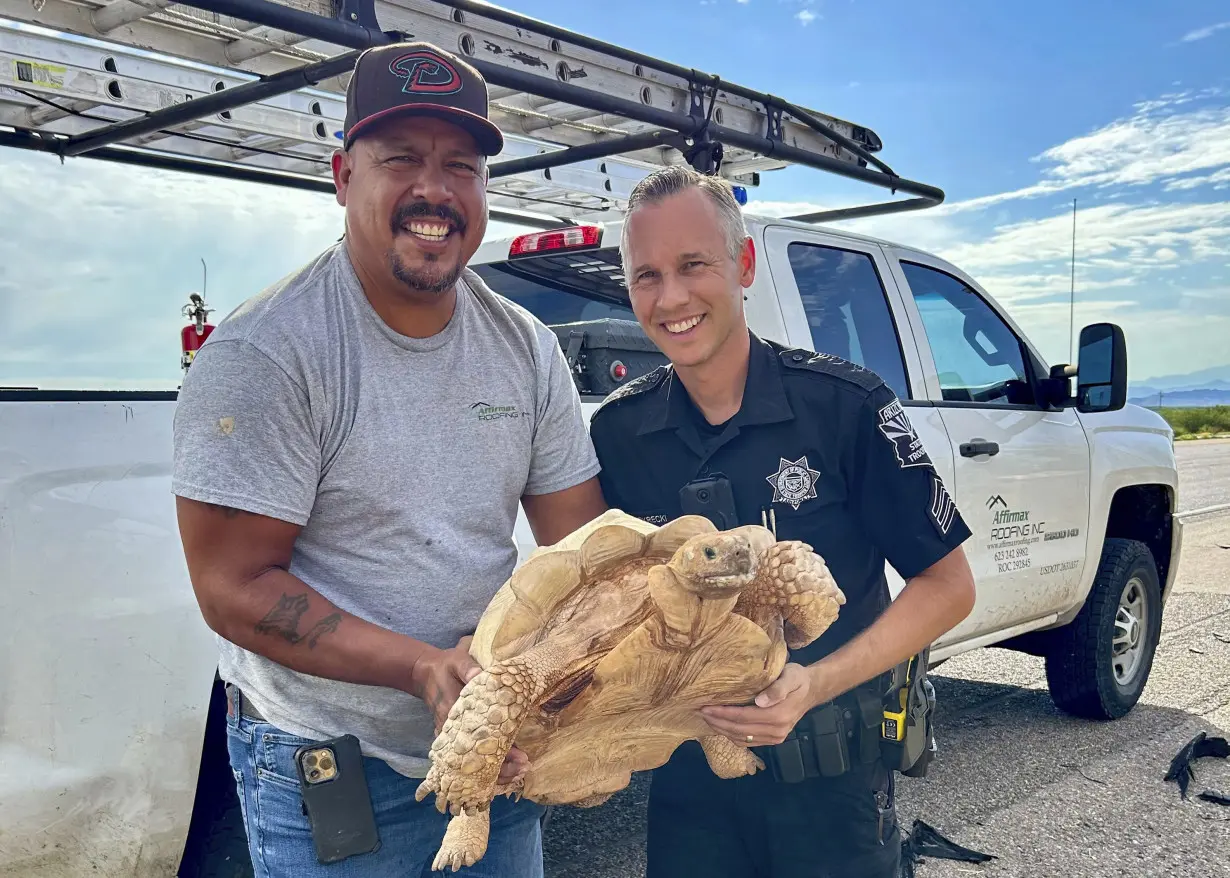 Large Tortoise Rescued-Arizona Highway