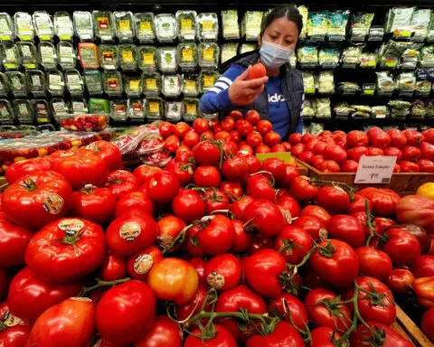 US producer inflation slows as pricing power diminishes