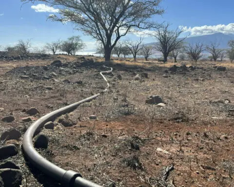 Wildfires don’t just burn farmland − they can contaminate the water farmers use to irrigate crops and support livestock