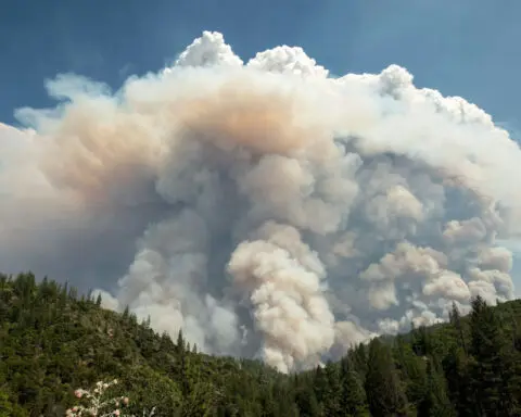 Wildfires can create their own weather, including thunderstorms and tornado-like fire whirls − an atmospheric scientist explains how