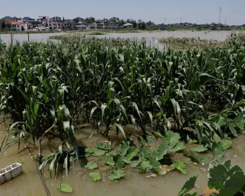 China pledges billions more in funds to aid disaster-stricken farm regions