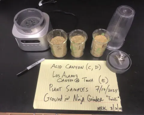 Watchdogs want US to address extreme plutonium contamination in Los Alamos' Acid Canyon
