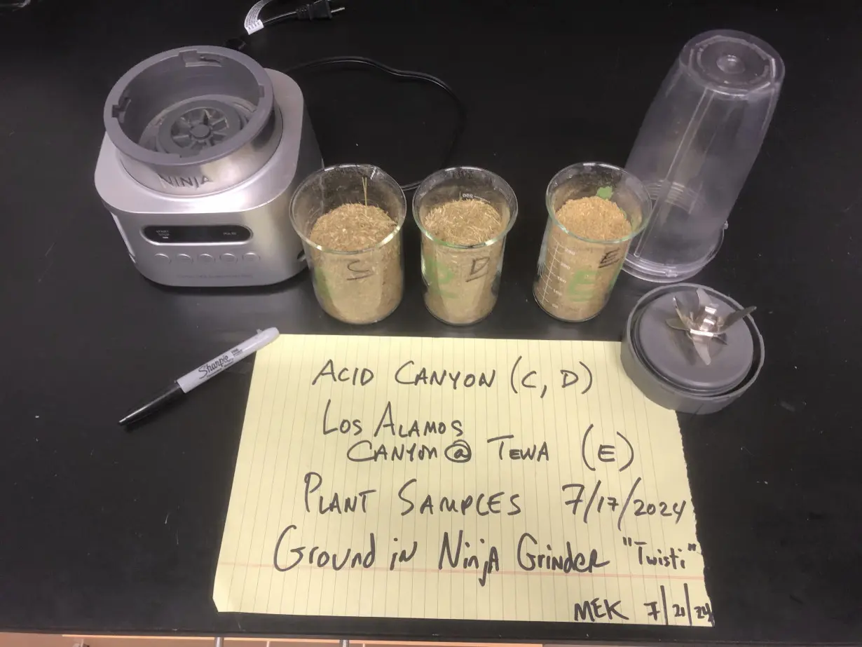 Plutonium Contamination Los Alamos