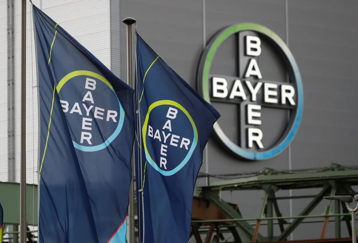 Logo and flags of Bayer AG are pictured outside a plant of the German pharmaceutical and chemical maker in Wuppertal