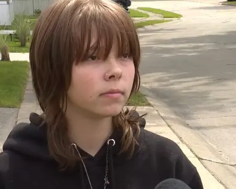 ‘I started flailing.' Teen recalls scary encounter with attempted kidnapping suspect