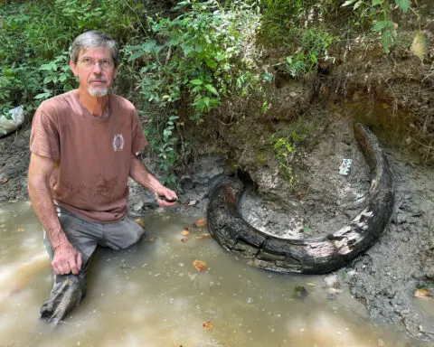 He stumbled onto a large tusk in a Mississippi creek. It turned out to be a first-of-its-kind discovery