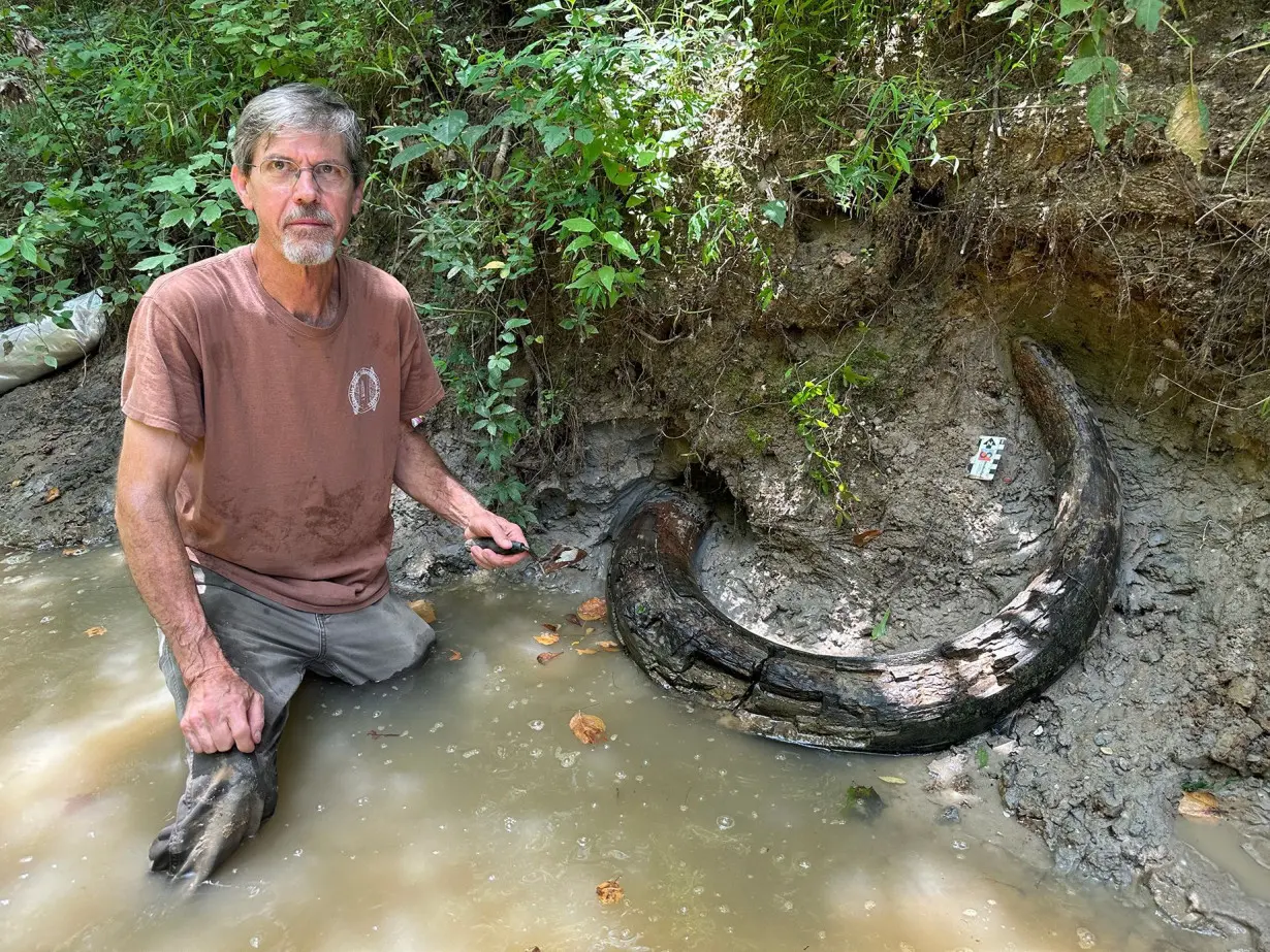 Fossil hunter Eddie Templeton discovered a completely intact Columbian mammoth tusk in Madison County, Mississippi.