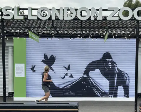 'Banksy woz ere.' London Zoo is the latest to remove street artist's animal mural for protection