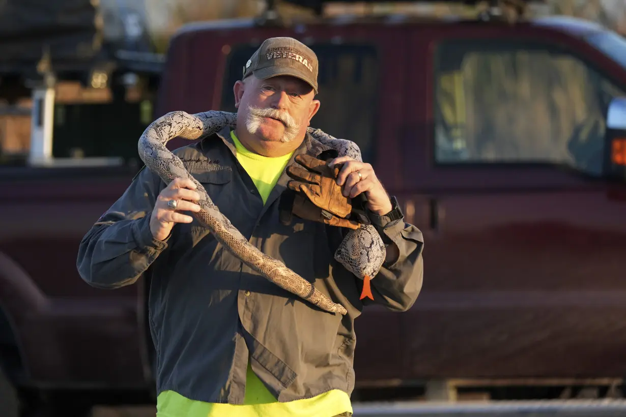 Python Hunting Florida