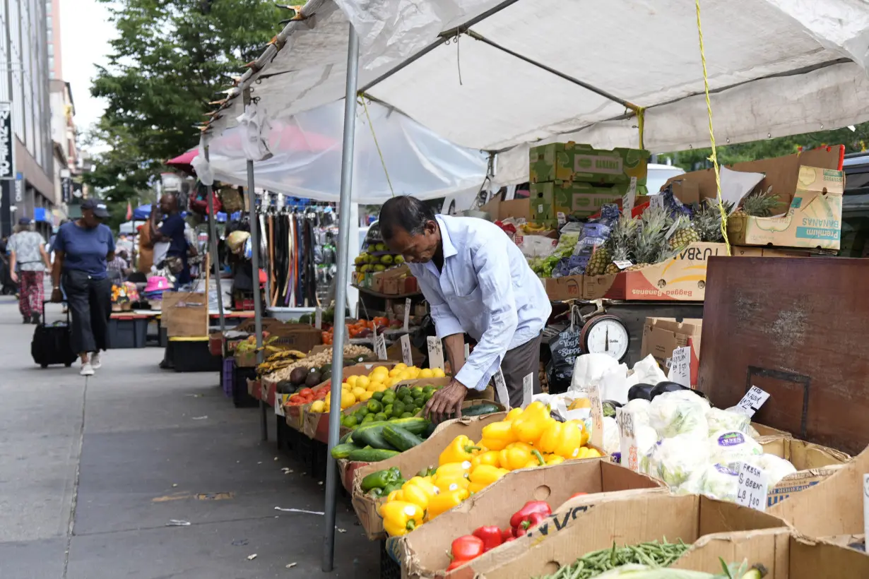 Harlem Festival Urban Activism