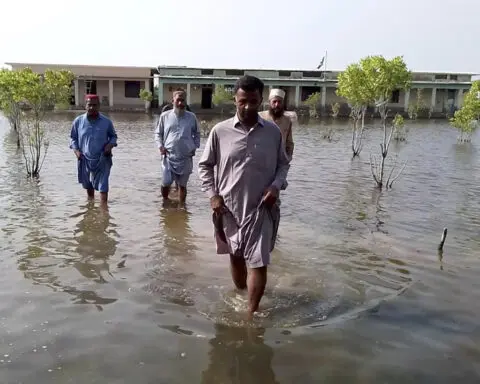 Heavy rains hit Pakistan's south as this monsoon's death toll rises to 209