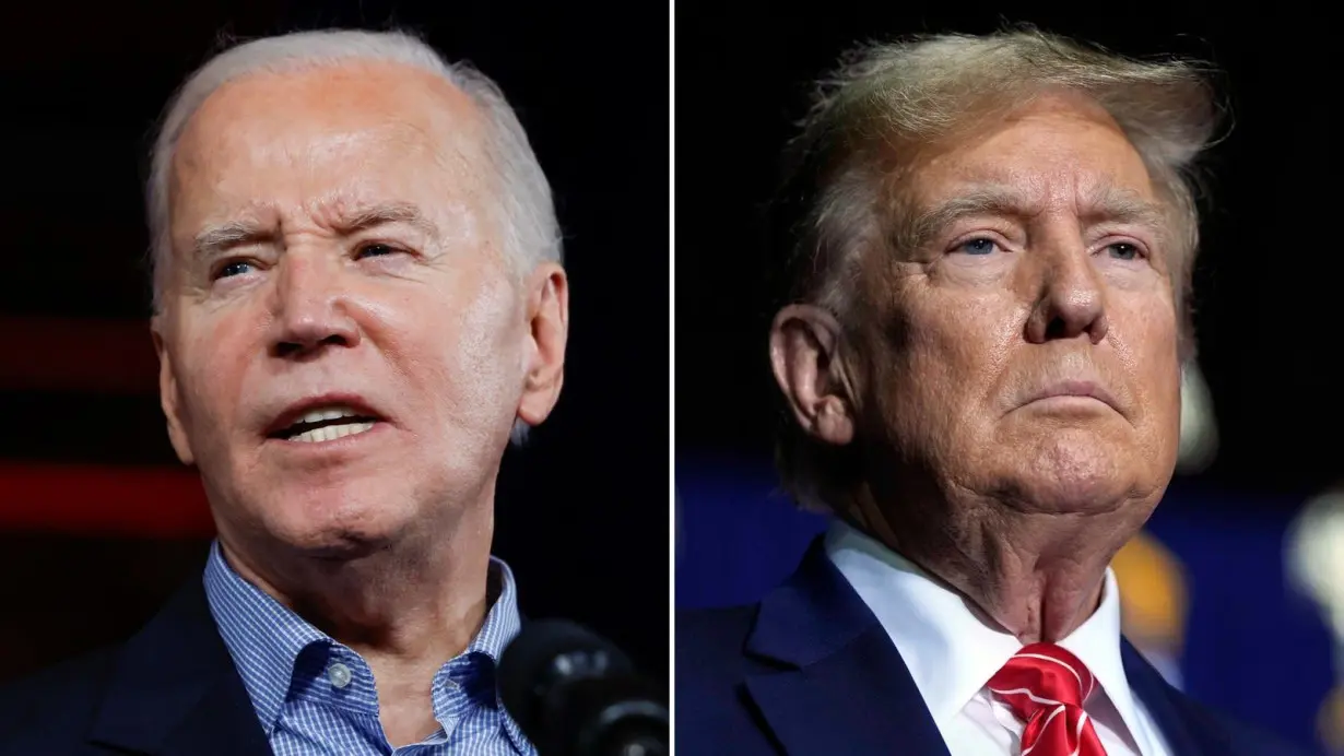 The 2024 Democratic Party platform features a lot of Joe Biden, and a lot of Donald Trump