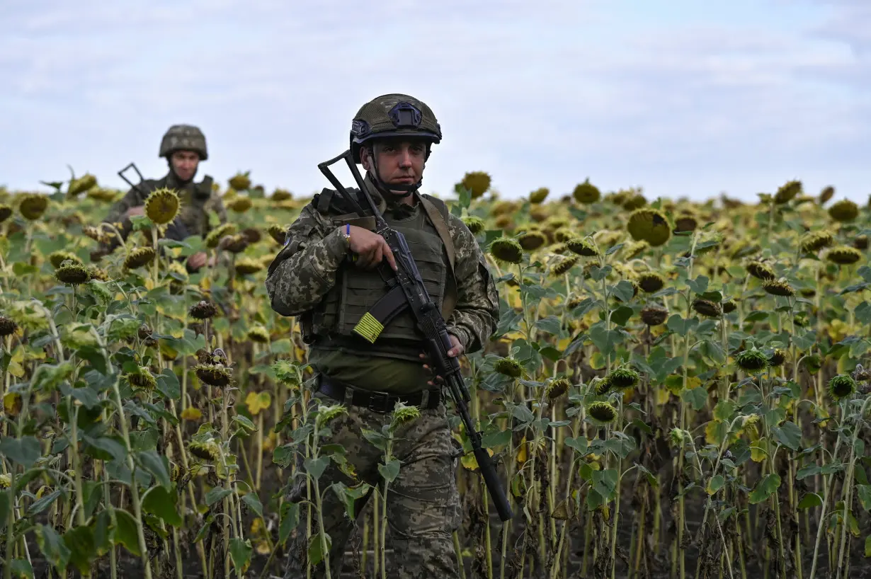 Ukraine servicemen walk among sunflowers, to their position outside the town of Pokrovsk