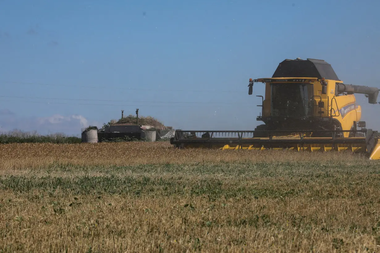 FILE PHOTO: Wheat harvesting in Kharkiv region