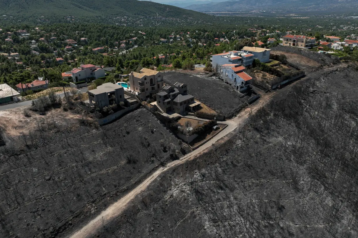 FILE PHOTO: Aftermath of a wildfire in Dionysos near Athens