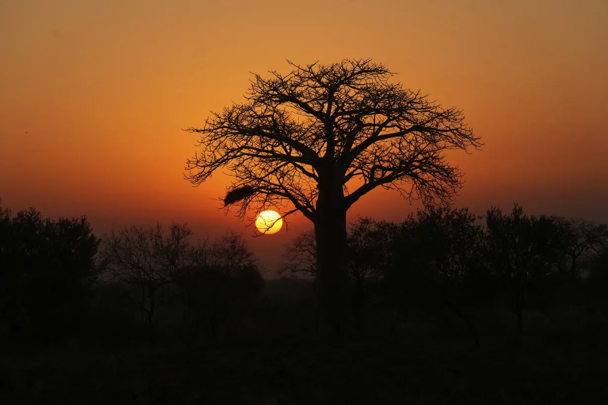 Zimbabwe Wildlife Former Poacher