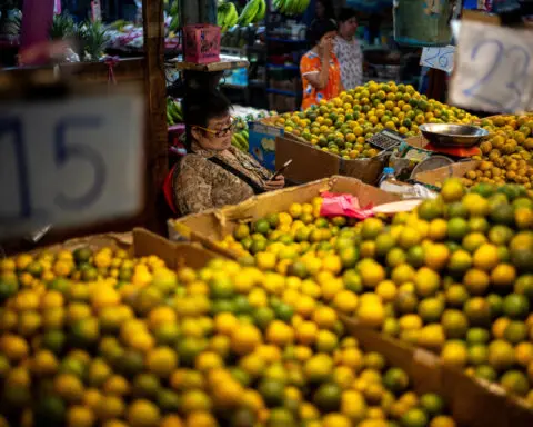 Thai economy is nearly in crisis, caretaker finance minister says