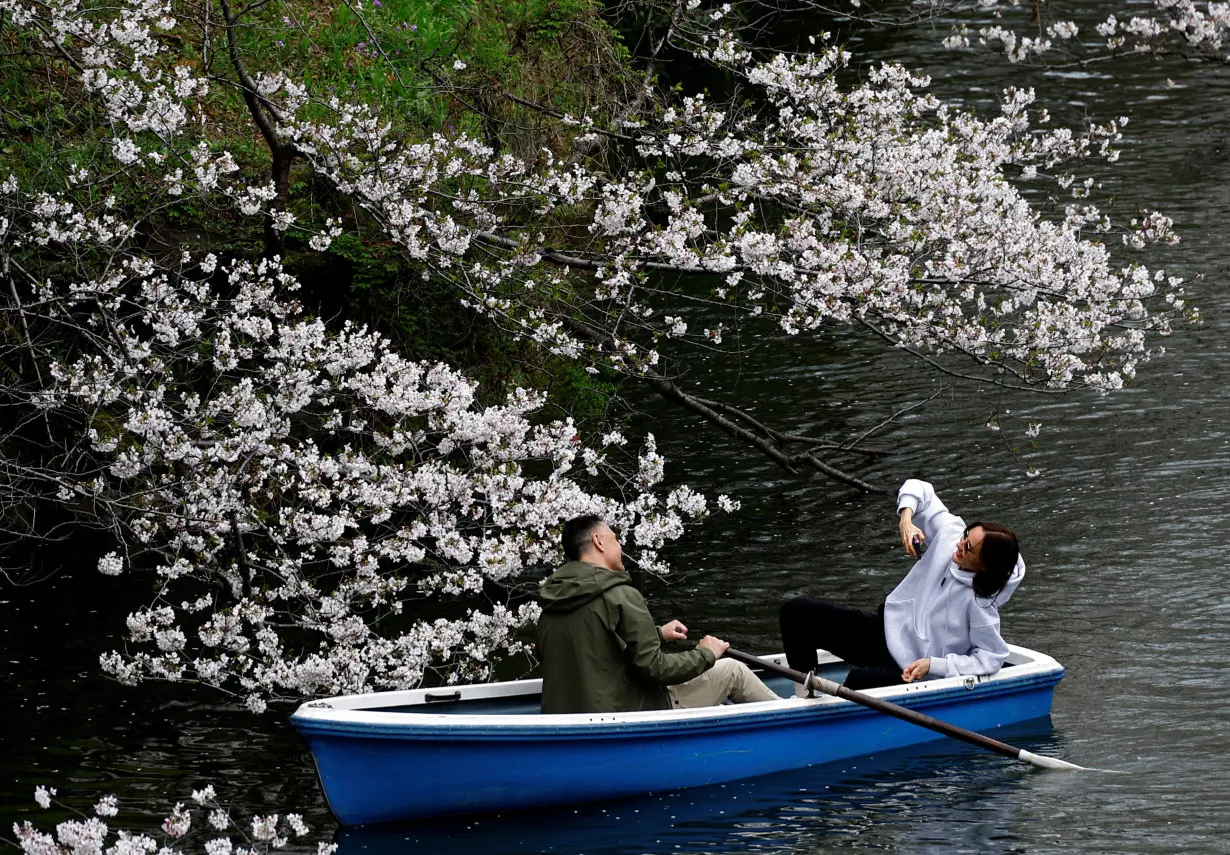 FILE PHOTO: Tourists ride a boat next to cherry blossoms at Chidorigafuchi Park in Tokyo