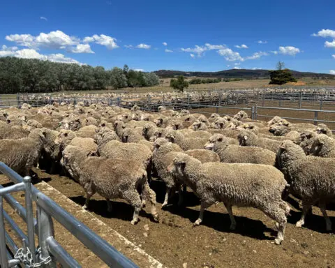 Australian farmers increasingly concerned about government policy, poll finds