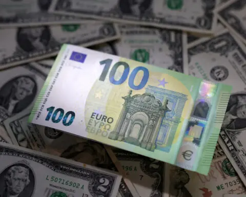 Euro, now a safer bet, emerges a winner from market turmoil