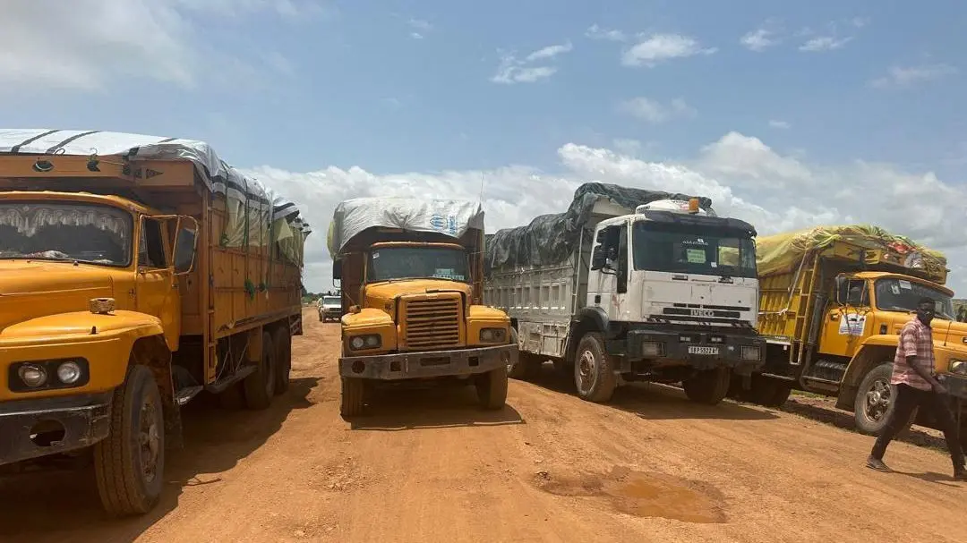 Humanitarian aid resumes in Sudan's war-torn Darfur after 6-month border closure