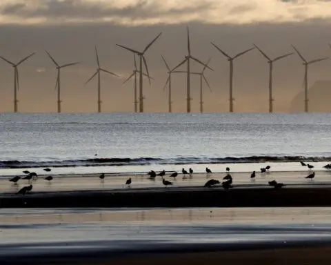 What has worked to fight climate change? Policies where someone pays for polluting, study finds