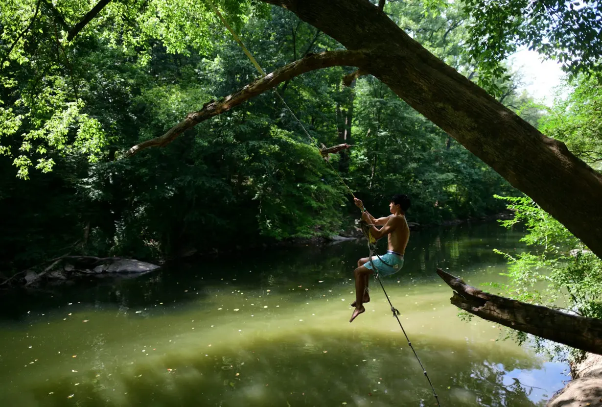 4 ways Wissahickon Valley Park makes Philly more resilient against climate change