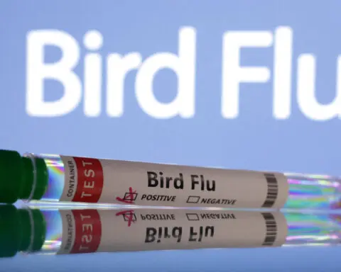 Poland reports outbreak of bird flu on poultry farm, WOAH says