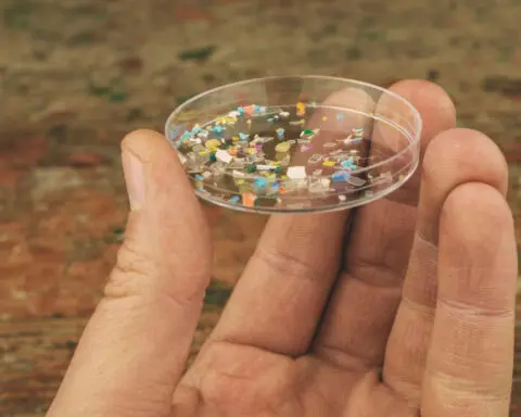 Tiny shards of plastic are increasingly infiltrating our brains, study says