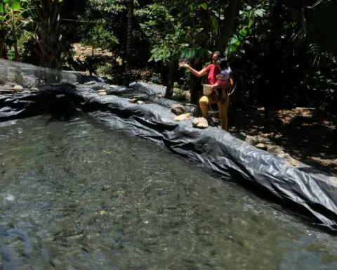 As drought breeds hunger in Guatemala, farming program aims to help