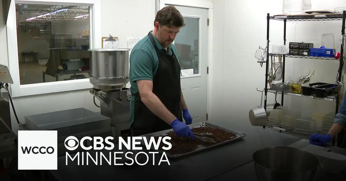 Couple betting big on crickets as a food of the future