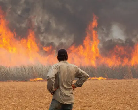 Wildfires affecting 30 cities in Brazil's Sao Paulo state, leave 2 dead