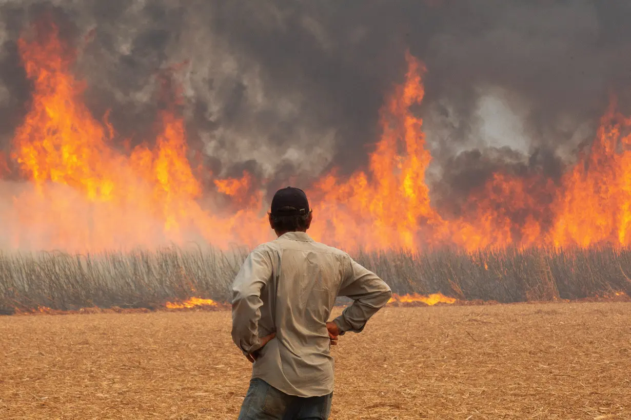 Wildfires affecting 30 cities in Brazil's Sao Paulo state