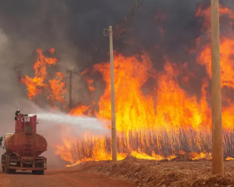 Wildfires rage in sugar cane fields in Brazil's southeast