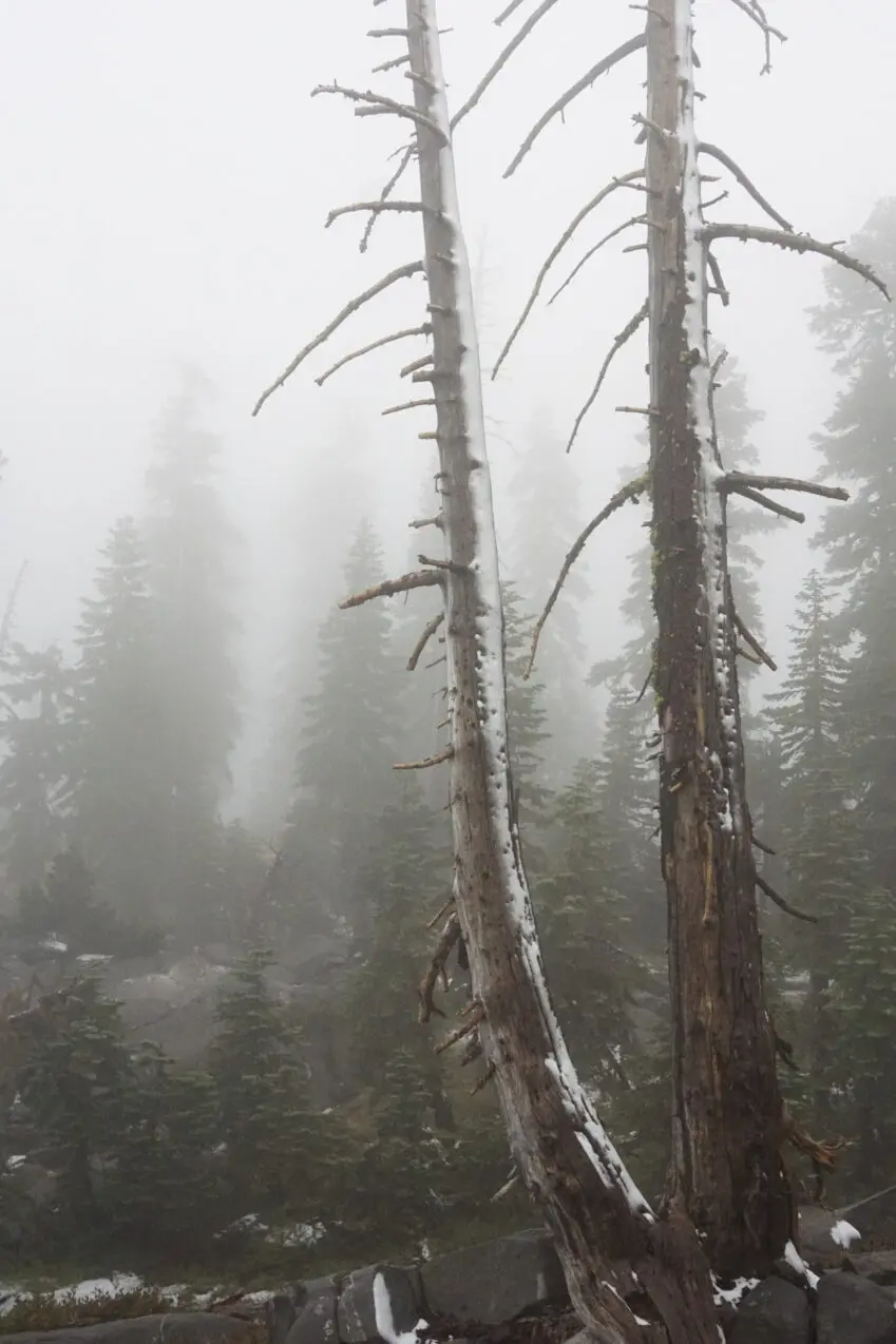 California Storm