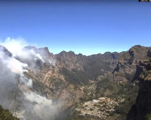 Madeira wildfire brought under control after 11 days