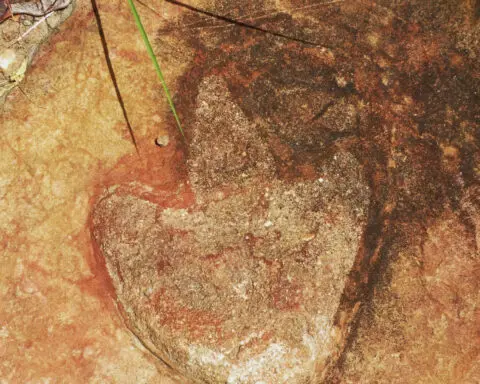 Matching sets of dinosaur footprints found on opposite sides of the Atlantic Ocean