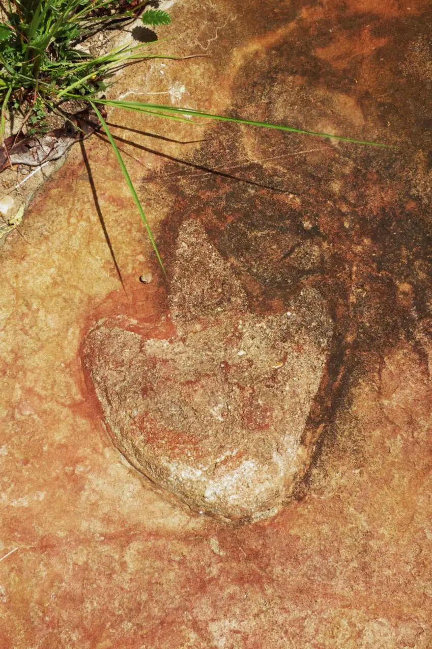 Matching sets of dinosaur footprints found on opposite sides of the Atlantic Ocean