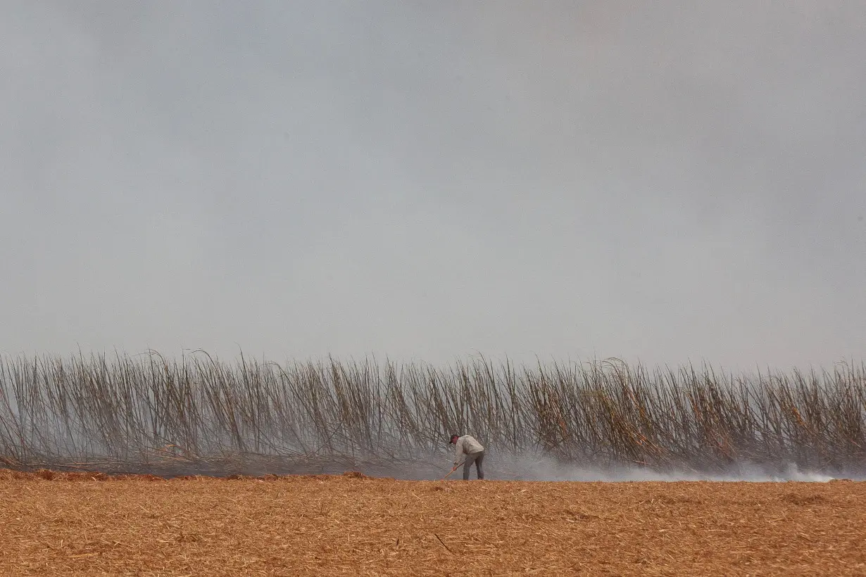 Wildfires affecting 30 cities in Brazil's Sao Paulo state