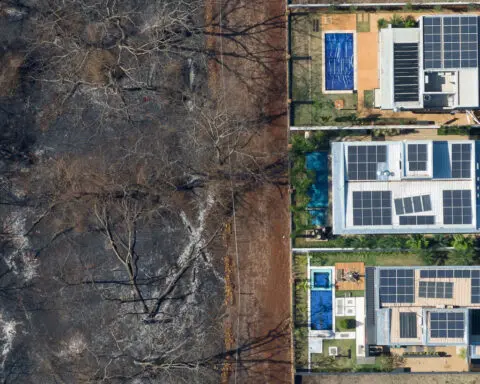 Four arson suspects arrested for setting fires in Brazil farmland
