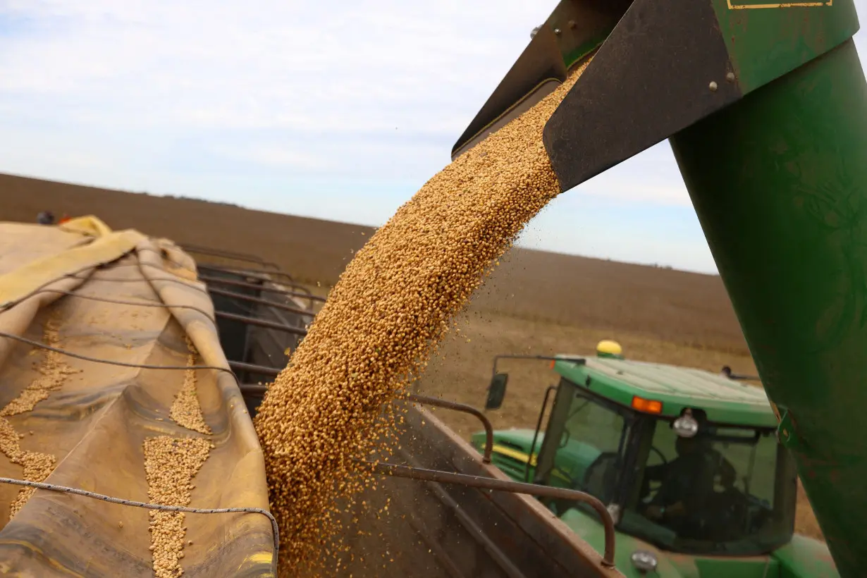 FILE PHOTO: Argentina soy farmers wait on rising prices to sell rain-drenched crop