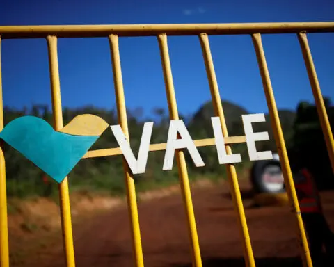 Brazil miner Vale's CEO announcement to curb market speculation, says chairman