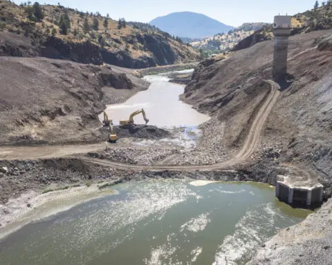 Salmon will soon swim freely in the Klamath River for first time in a century once dams are removed