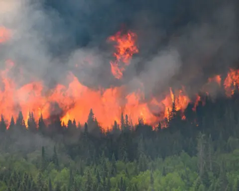 Canada wildfires last year released more carbon than several countries